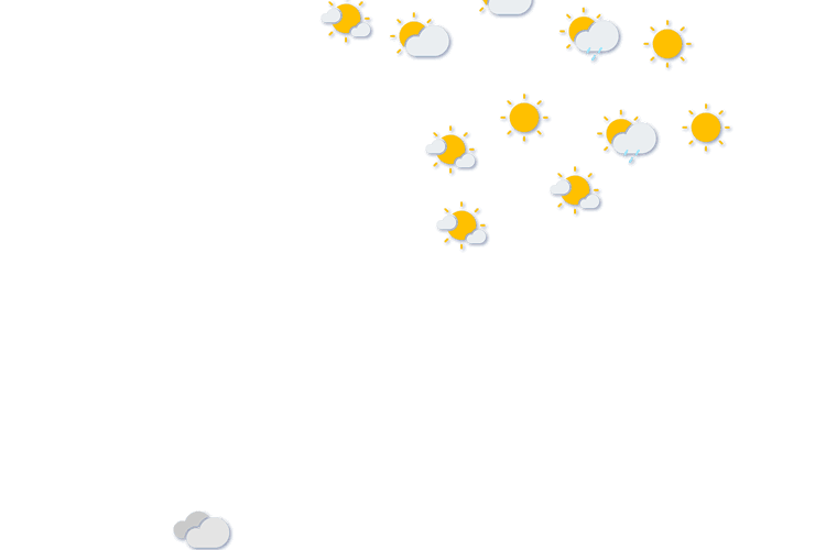 Forecast