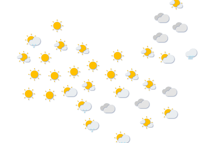 Forecast