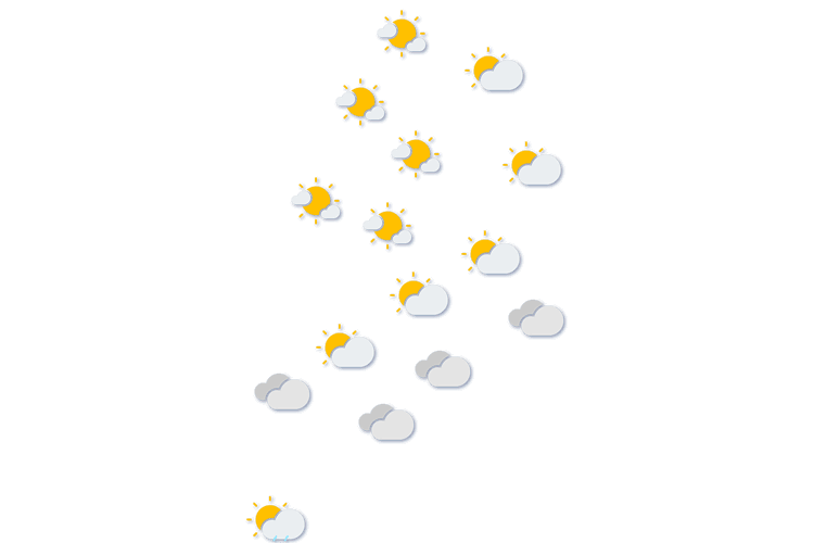 Forecast