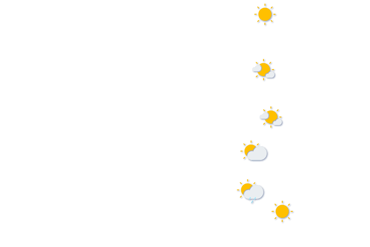 Forecast