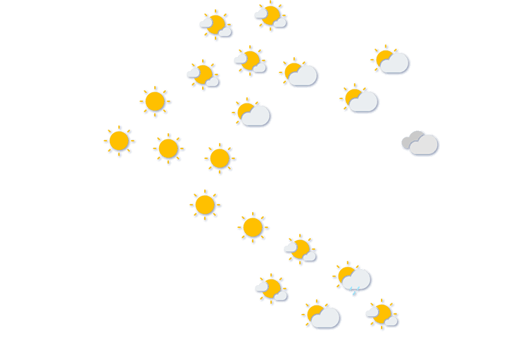 Forecast