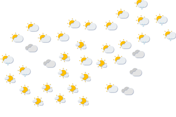 Forecast