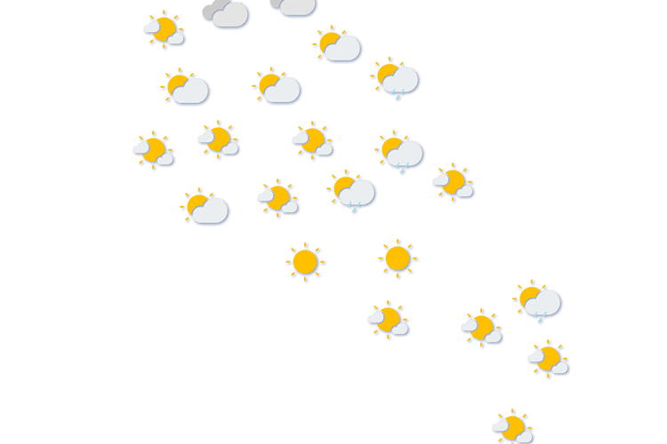 Forecast