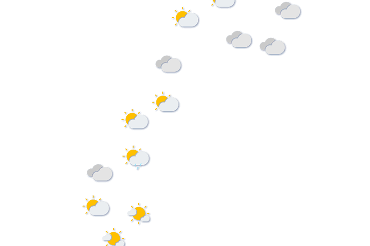 Forecast