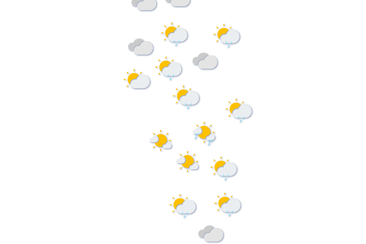 Forecast