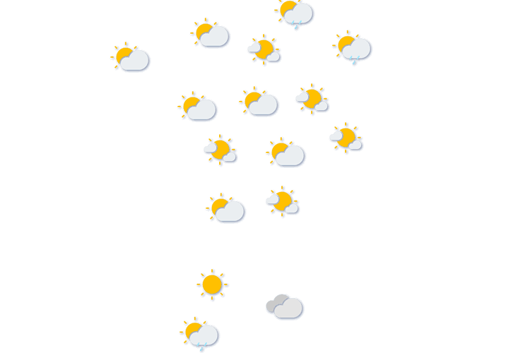 Forecast