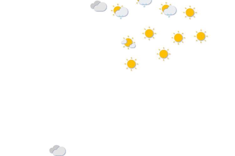 Forecast