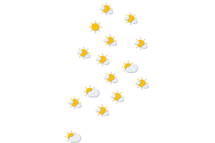 Forecast