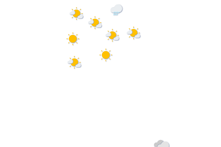 Forecast