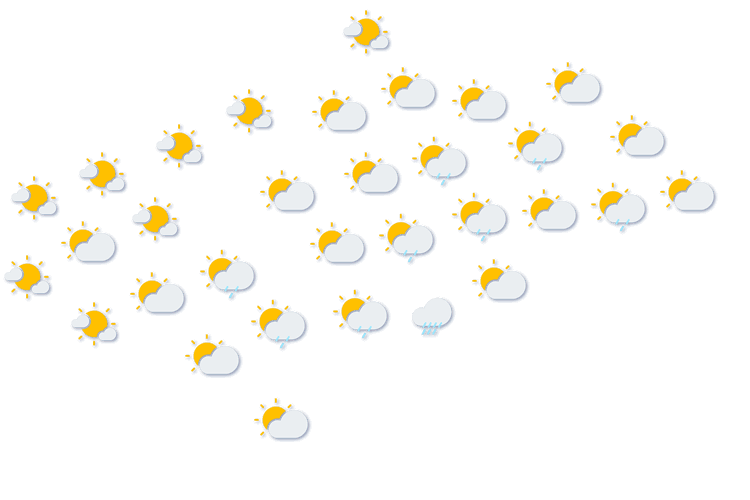 Forecast