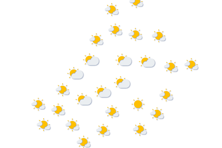 Forecast