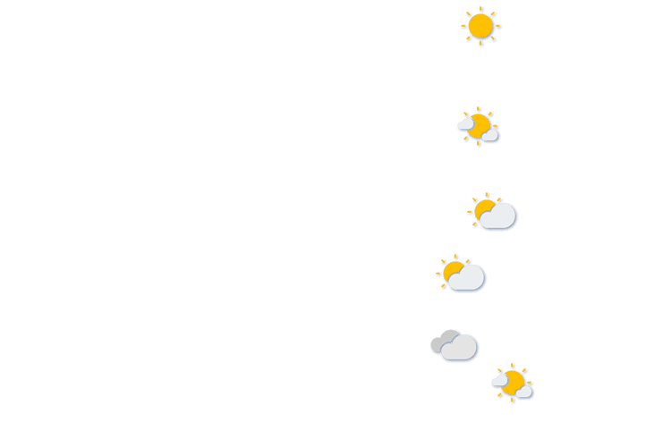 Forecast