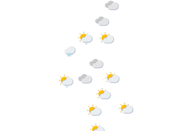 Forecast