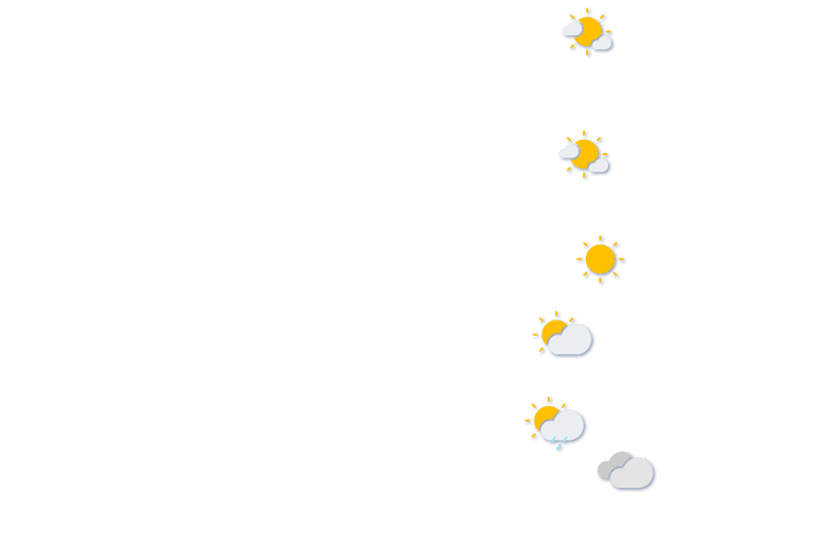 Forecast