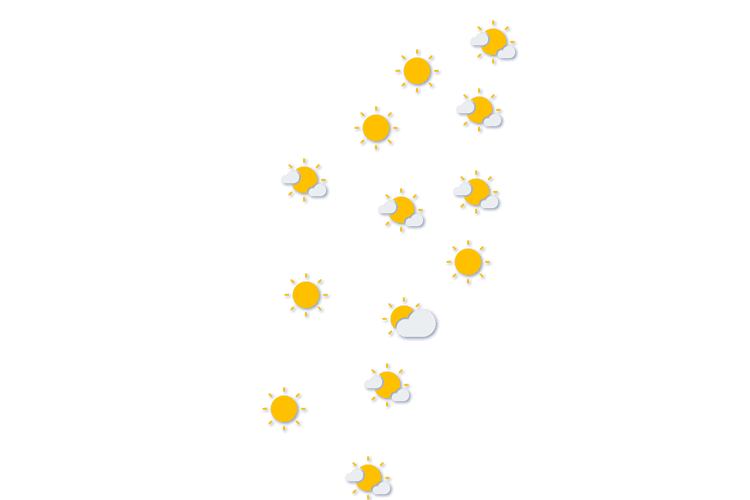 Forecast
