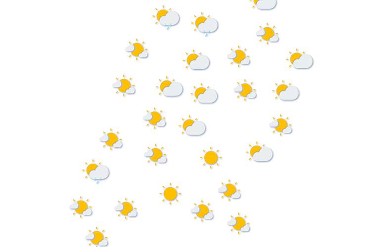 Forecast