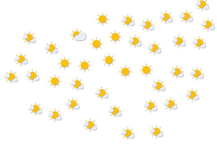 Forecast