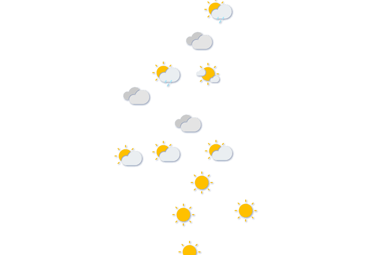 Forecast