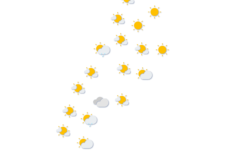 Forecast