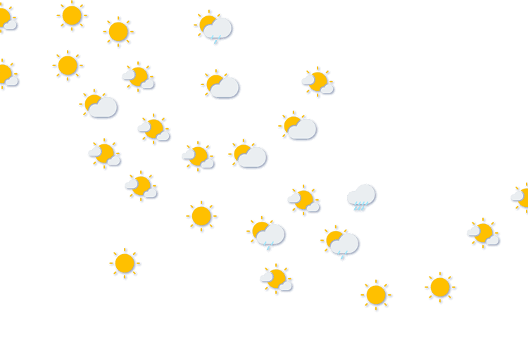 Forecast