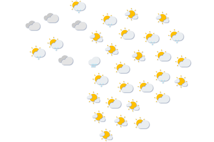 Forecast