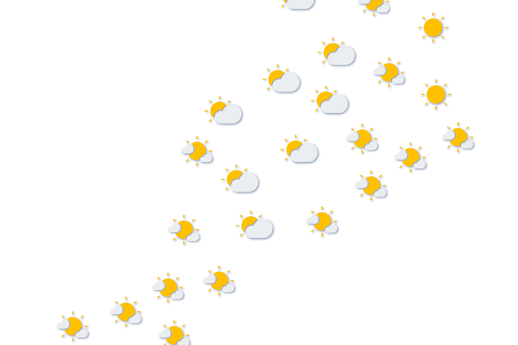 Forecast