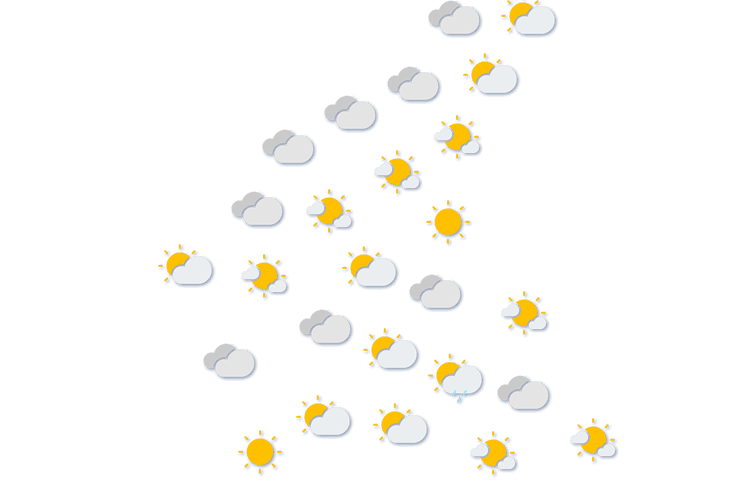 Forecast