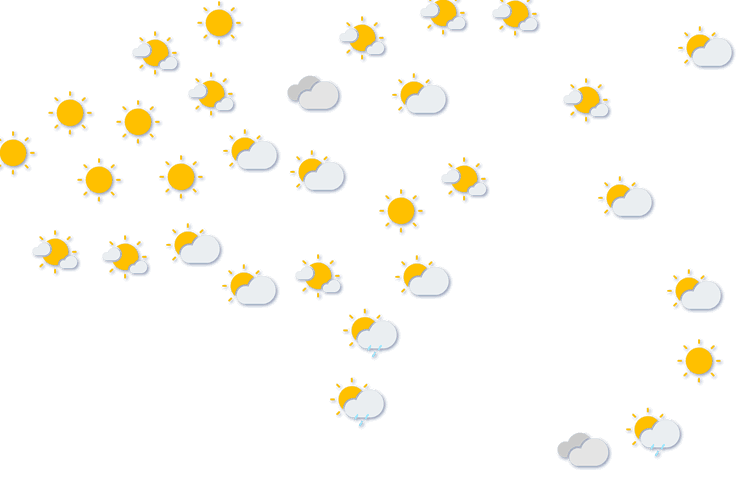Forecast