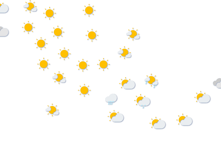 Forecast