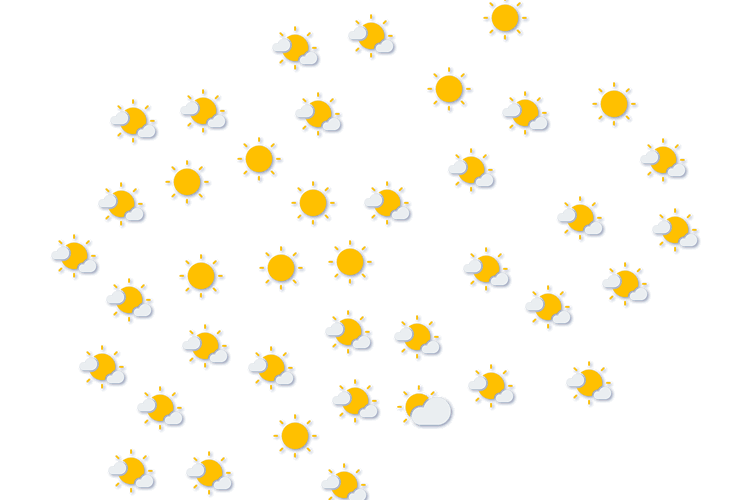 Forecast