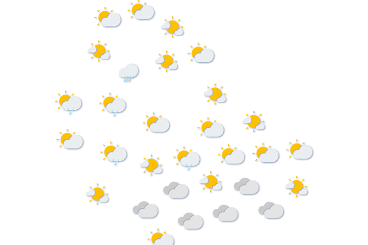 Forecast