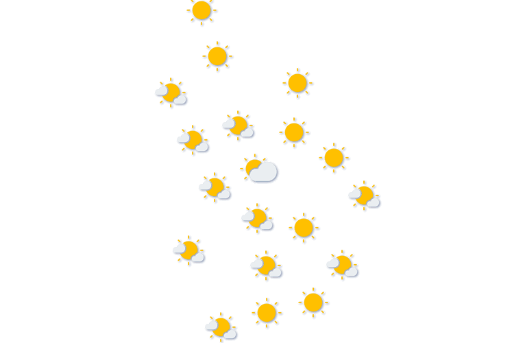 Forecast
