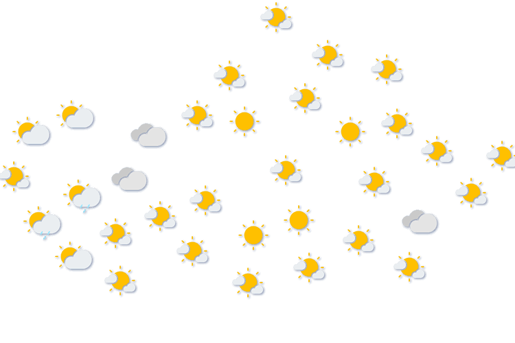 Forecast