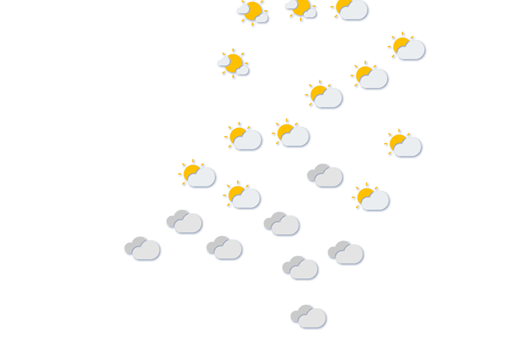 Forecast
