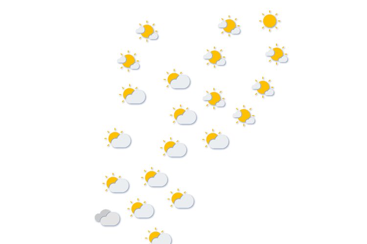 Forecast