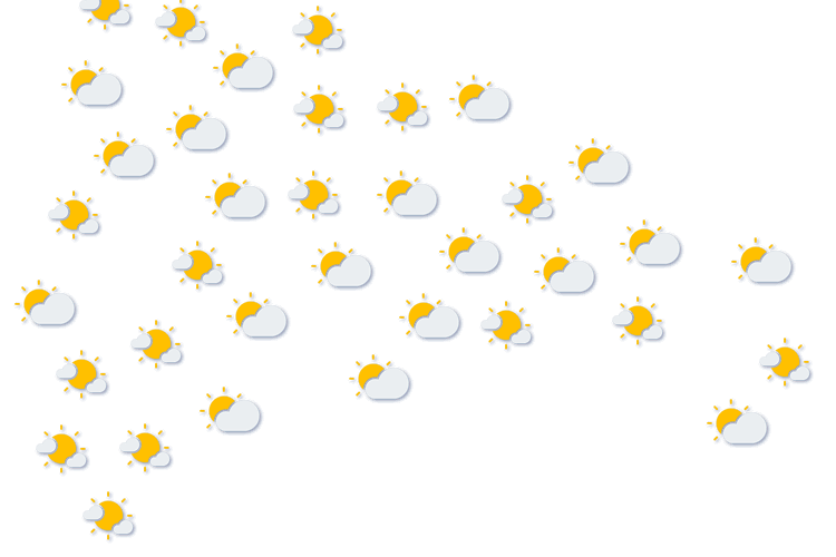 Forecast