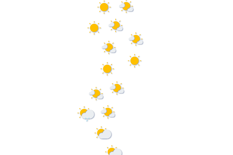 Forecast