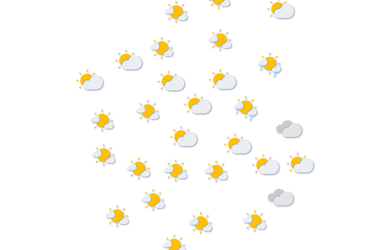 Forecast