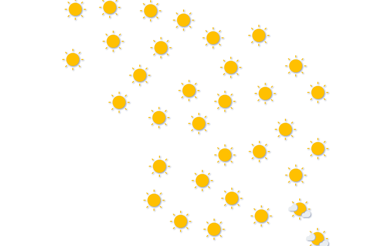 Forecast