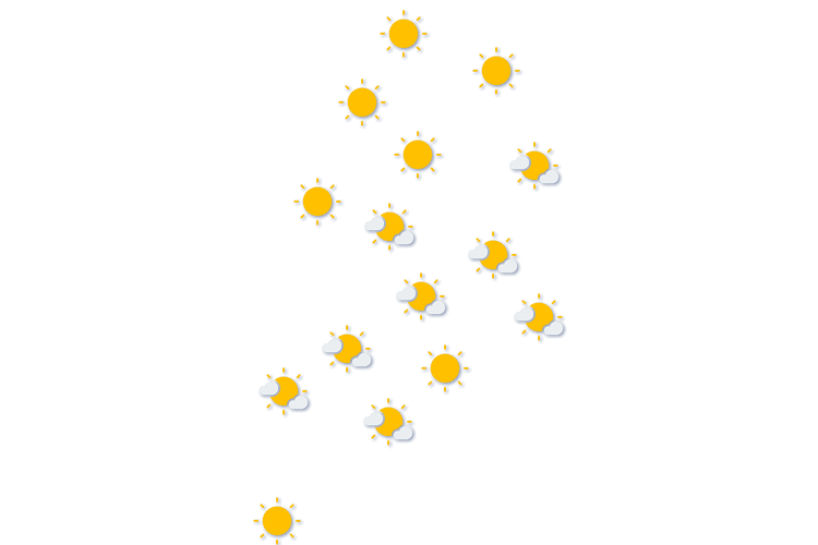 Forecast