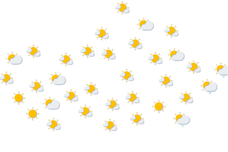 Forecast