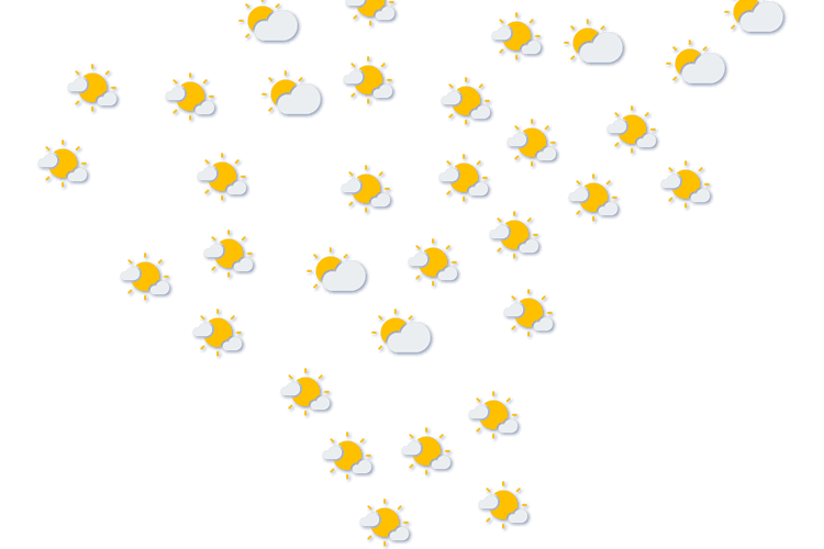 Forecast