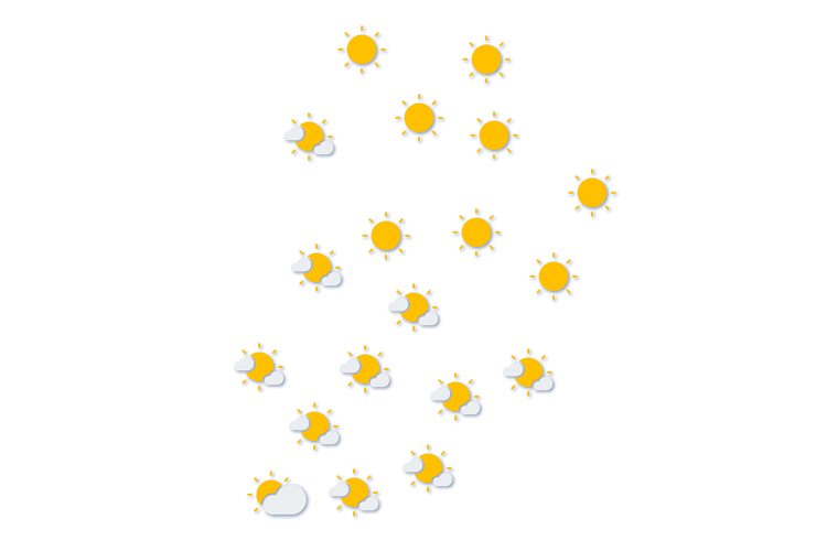 Forecast