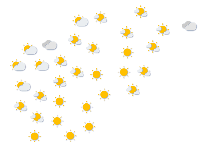 Forecast
