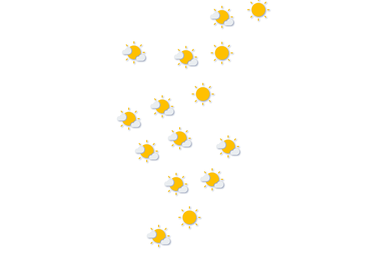 Forecast