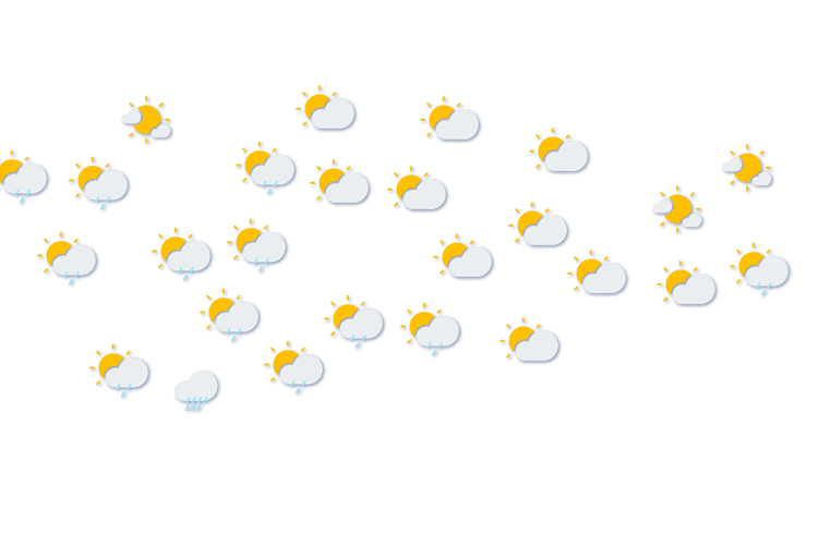 Forecast