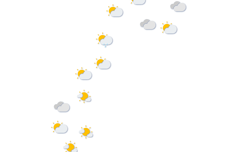Forecast