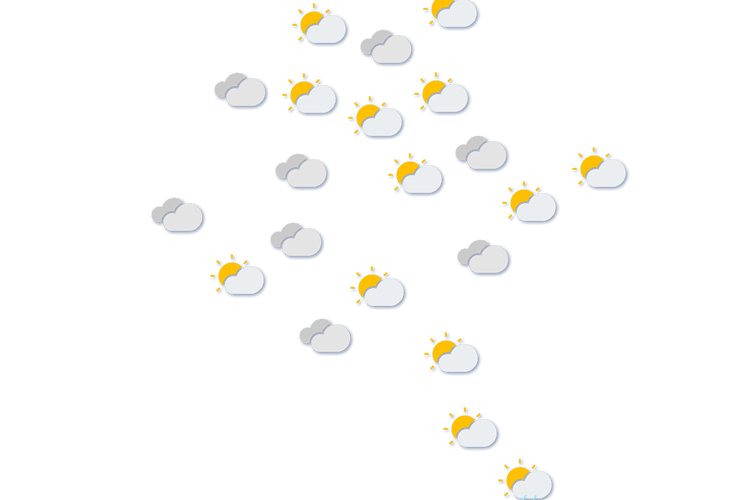Forecast