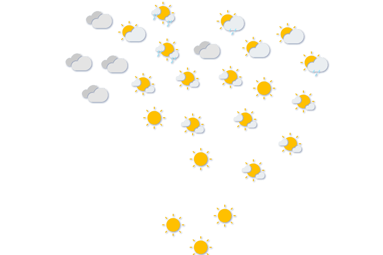 Forecast
