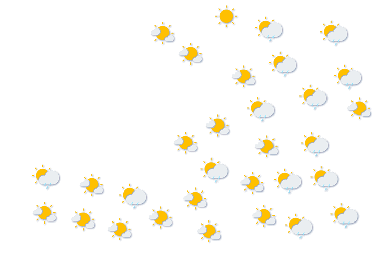 Forecast
